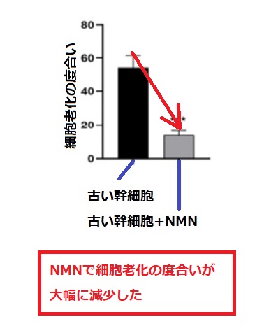 NMNは細胞の老化度合いを減らす
