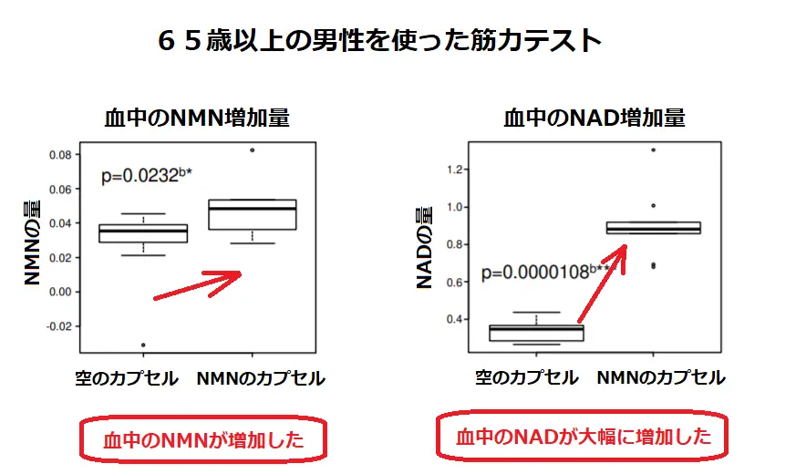 NMNの筋力増強実験結果