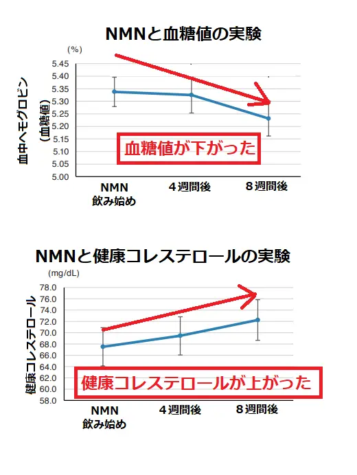 NMNが血糖値と健康コレステロールに与える影響