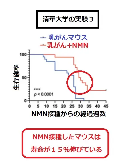 NMNを摂取すると乳がんのによる生存確率を伸ばす